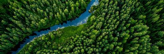 Overhead view of green forest trees with blue river running through middle. 